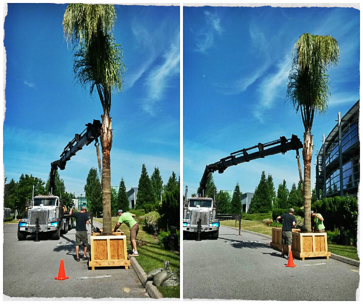 Projects Page 2 Standard Truck & Crane Ltd.